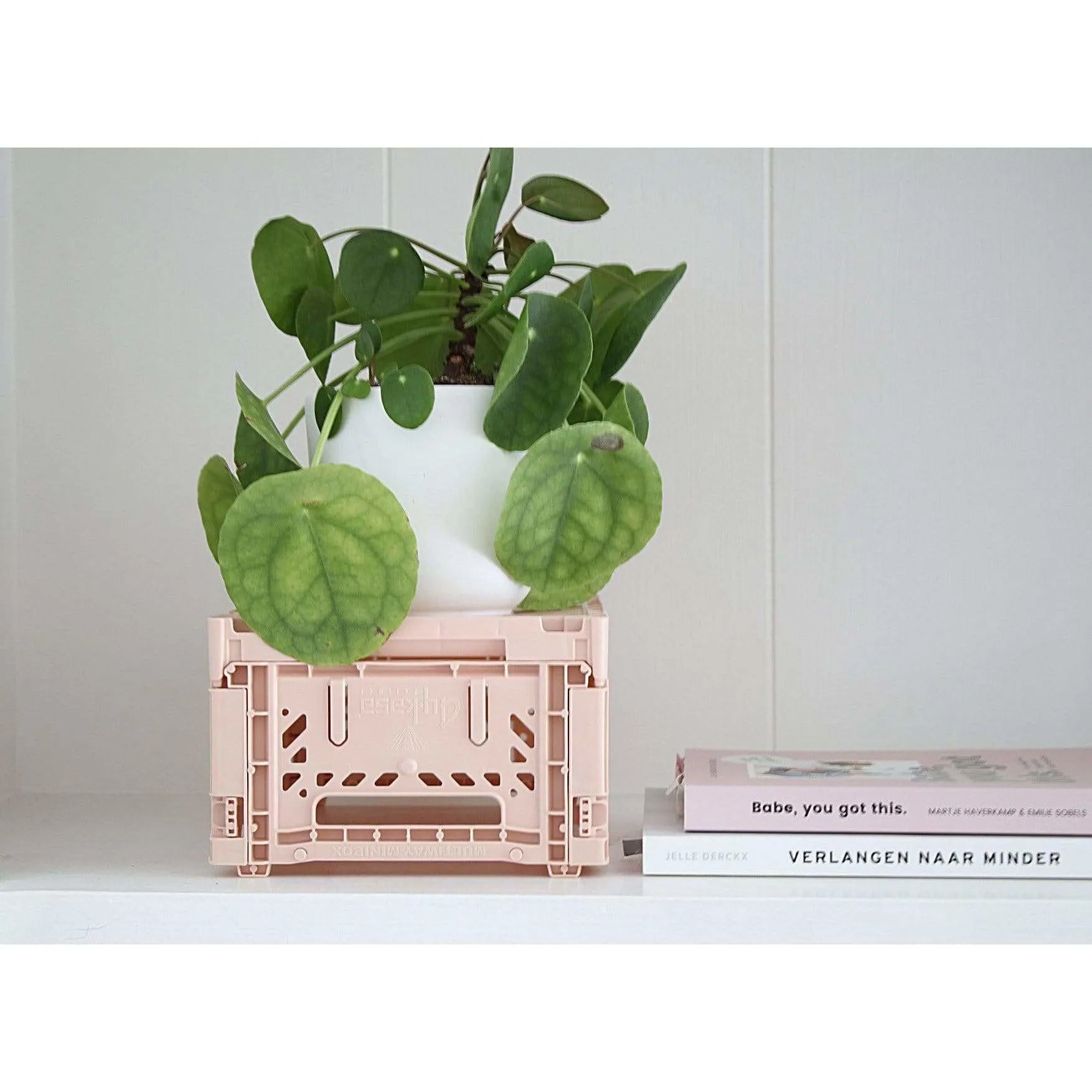 100% Recyclable Folding Krate - Mini Box