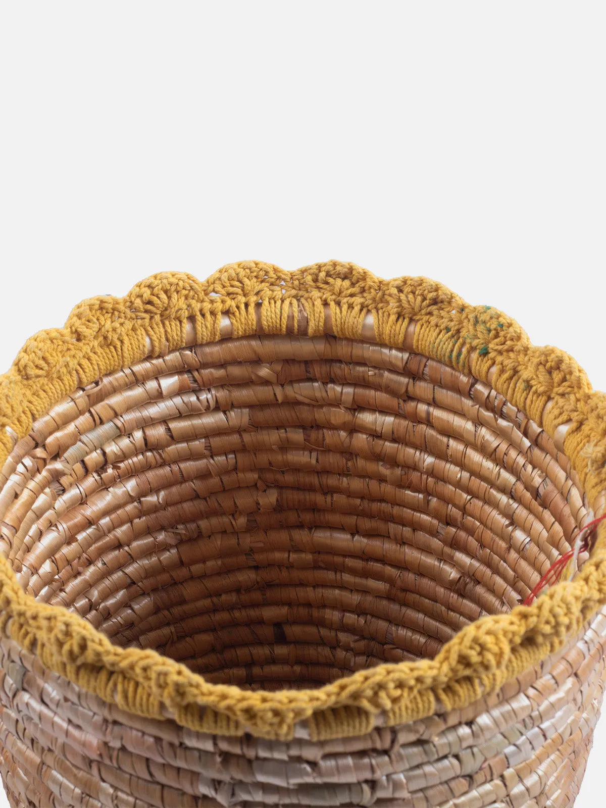 Wheat Grass Dustbin/Flower Vase With Crochia